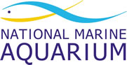 NMA logo - Go to web site